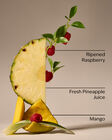 Pineapple Mango Concentrated Room Spray image number null