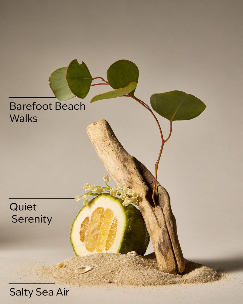 Ocean Town Bound Wallflowers Fragrance Refill รีฟิลวอลล์ฟลาวเวอร์