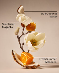 Endless Weekend Car Fragrance Refill