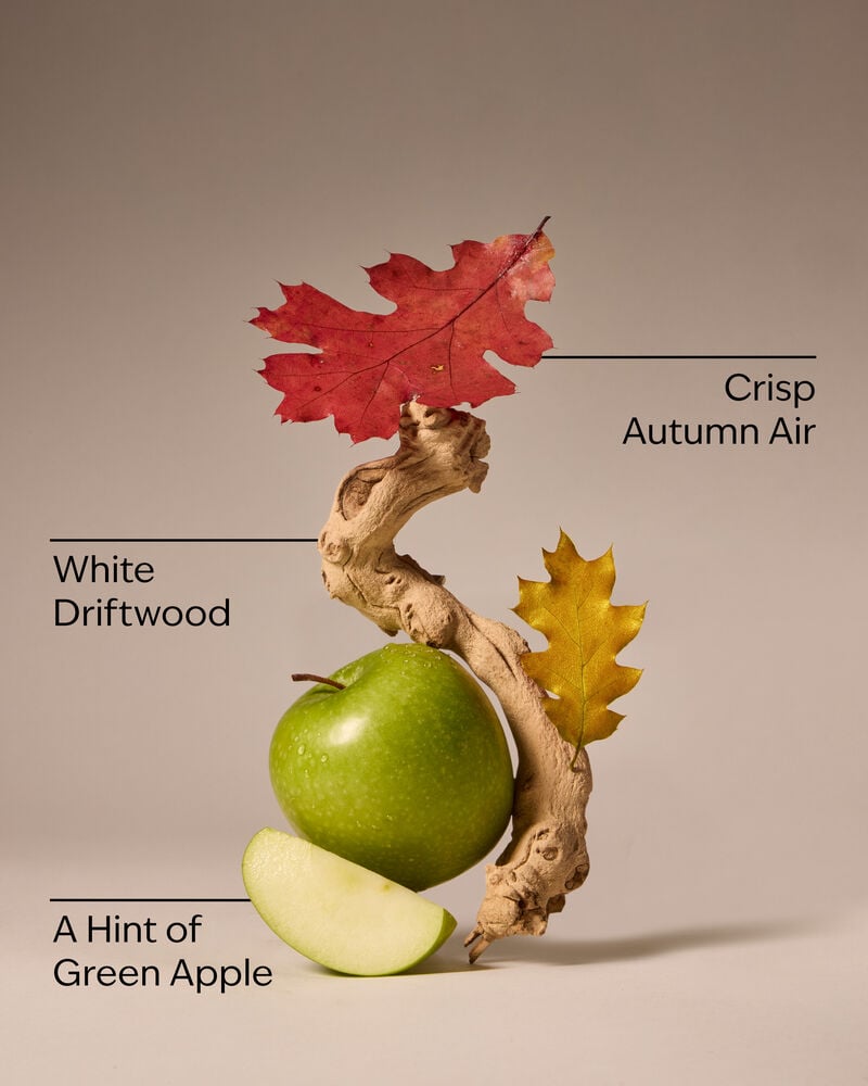 Lakeside Morning Concentrated Room Spray สเปรย์ปรับอากาศห้อง