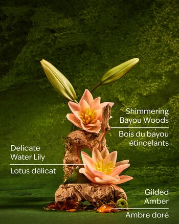 Tiana 3-Wick Candle เทียนหอม 3 ไส้