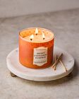 Sweet Cinnamon Pumpkin 3-Wick Candle image number null