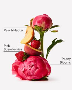 Gingham Gorgeous Fine Fragrance Mist image number null
