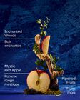 Snow White Body Wash image number null