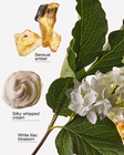 Milk & Musk Wallflowers Fragrance Refill image number null