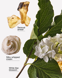 Milk & Musk Wallflowers Fragrance Refill image number null