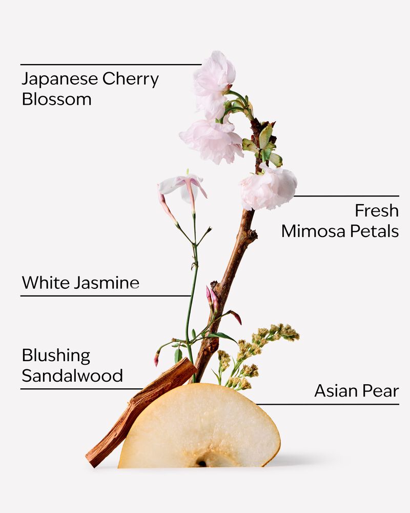 Japanese Cherry Blossom Wallflowers Fragrance Refill รีฟิลวอลล์ฟลาวเวอร์