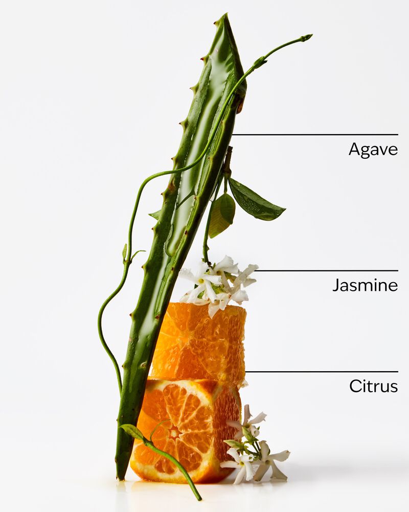 Sweet Orange & Agave 3-Wick Candle เทียนหอม 3 ไส้