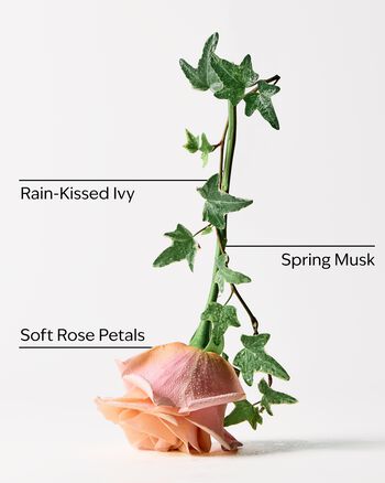 Rose Water & Ivy Concentrated Room Spray สเปรย์ปรับอากาศห้อง