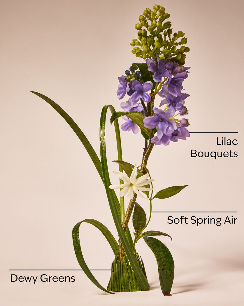 Fresh Cut Lilacs Gentle & Clean Foaming Hand Soap โฟมล้างมือ