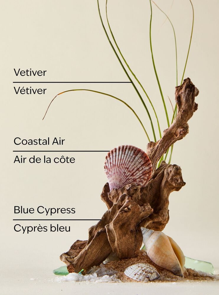 Ocean 3-Wick Candle เทียนหอม 3 ไส้