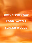 Calypso Clementine Body Wash image number null