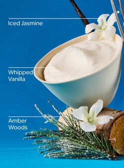 Vanilla Icicles Gentle & Clean Foaming Hand Soap