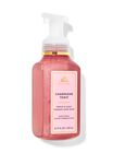 Champagne Toast Gentle & Clean Foaming Hand Soap image number null