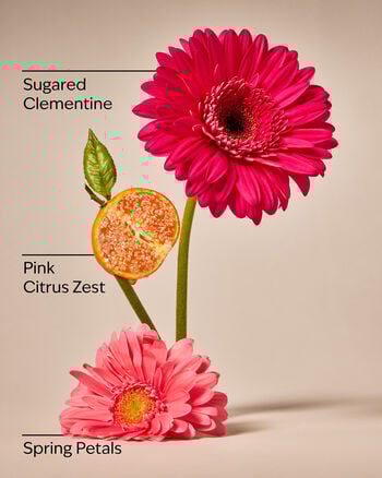 Pink Clementine Cleansing Gel Hand Soap Cleansing Gel Hand Soap