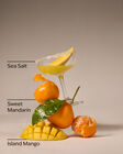 Island Margarita Signature Single Wick Candle image number null