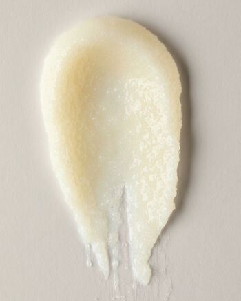 Marshmallow Pumpkin Latte Creamy Body Scrub บอดี้สครับ