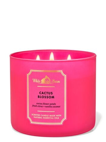 Cactus Blossom 3-Wick Candle เทียนหอม 3 ไส้