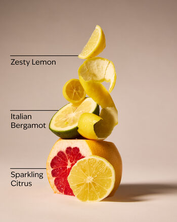 Kitchen Lemon Gentle & Clean Foaming Hand Soap โฟมล้างมือ