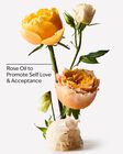 Heirloom Rose Eau De Parfum image number null
