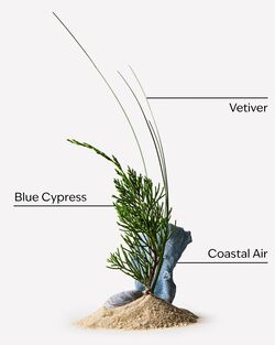 Ocean Car Fragrance Refill image number null
