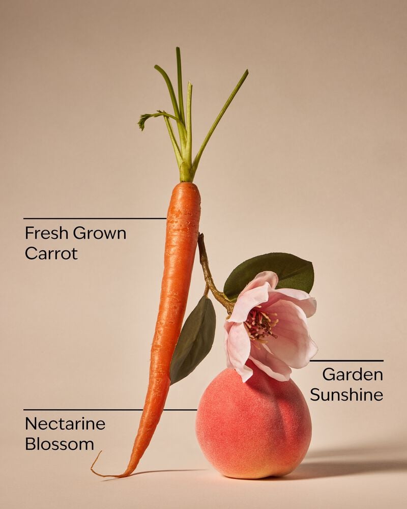 Carrot & Nectarine 3-Wick Candle เทียนหอม 3 ไส้