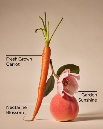 Carrot & Nectarine 3-Wick Candle เทียนหอม 3 ไส้