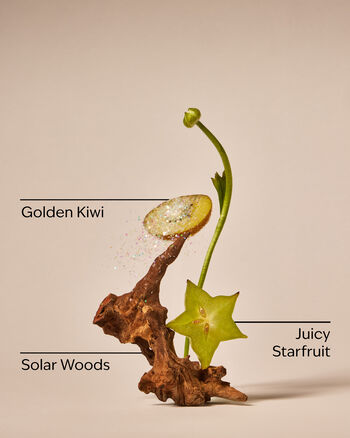 Sweet Kiwi & Starfruit Single Wick Candle Single Wick Candle