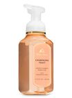 Champagne Toast Foaming Hand Soap image number null
