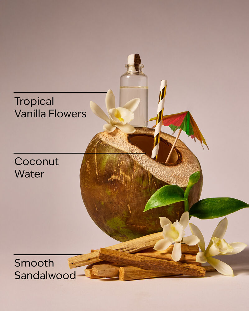 Paradise Vanilla Wallflowers Fragrance Refill รีฟิลวอลล์ฟลาวเวอร์