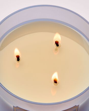 Violet & Musk 3-Wick Candle เทียนหอม 3 ไส้