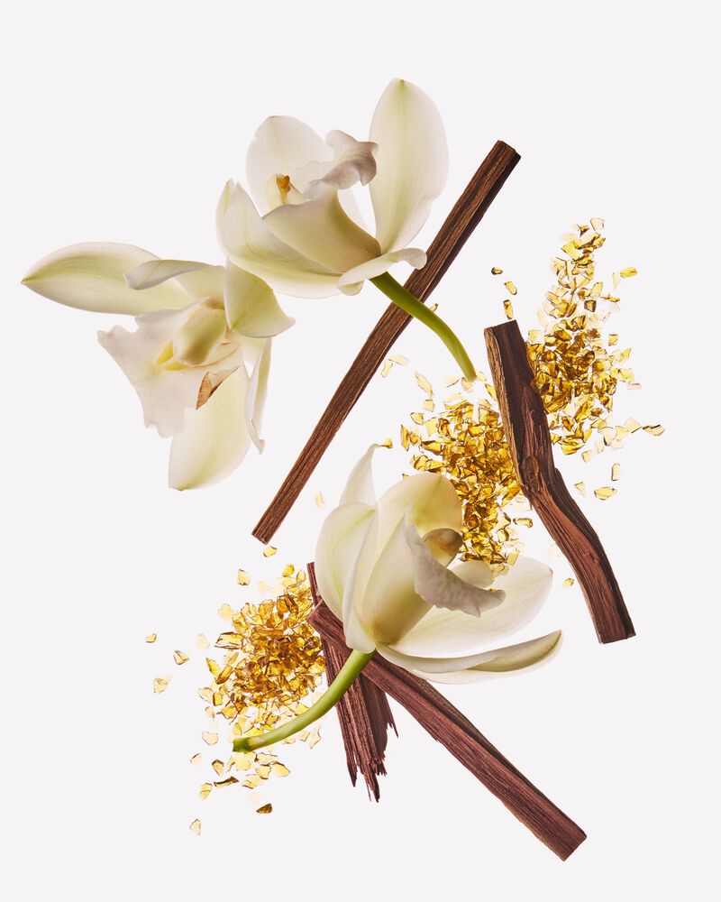 Dreamy Amber Wallflowers Fragrance Refill รีฟิลวอลล์ฟลาวเวอร์