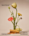Warm Summer Evening 3-Wick Candle image number null