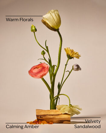 Warm Summer Evening 3-Wick Candle เทียนหอม 3 ไส้