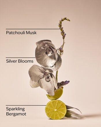 Platinum Diamond Shimmer Mist ชิมเมอร์มิสต์