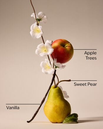 Spring Apple Car Fragrance Refill รีฟิลน้ำหอมปรับอากาศรถยนต์