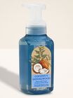 Coconut Sandalwood Gentle & Clean Foaming Hand Soap image number null
