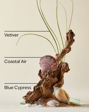 Ocean Car Fragrance Refill Car Fragrance Refill