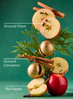 Tis The Season Wallflowers Fragrance Refill image number null