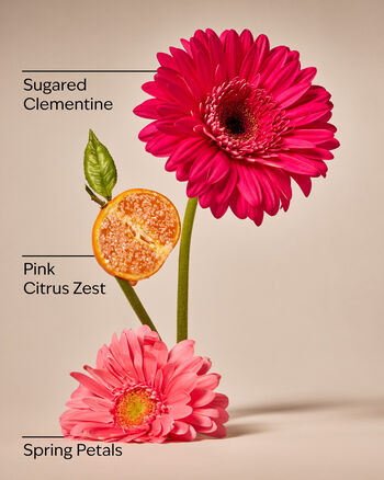 Pink Clementine Cleansing Gel Hand Soap เจลล้างมือสูตรทำความสะอาด