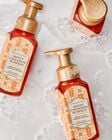 Sweet Cinnamon Pumpkin Gentle & Clean Foaming Hand Soap image number null