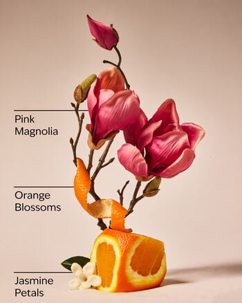 Pink Petal Confetti Wallflowers Fragrance Refill รีฟิลวอลล์ฟลาวเวอร์