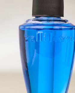 Gingham Wallflowers Fragrance Refill image number null