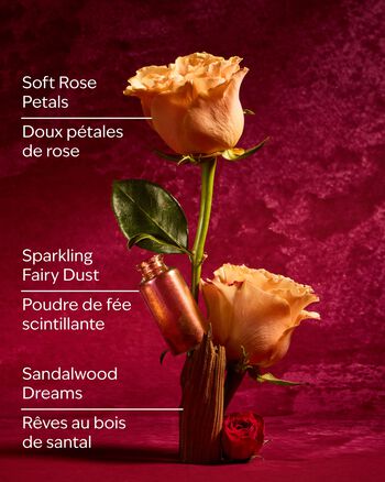 Aurora Wallflowers Fragrance Refill Wallflowers Fragrance Refill