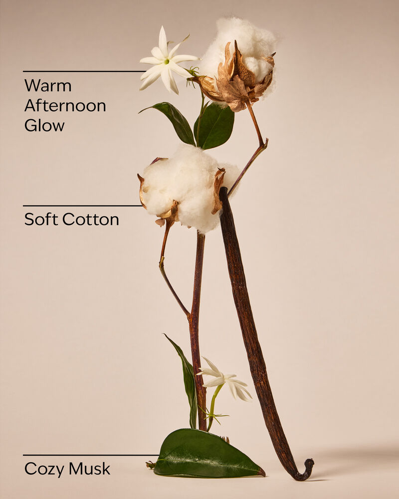 Cat Nap Wallflowers Fragrance Refill รีฟิลวอลล์ฟลาวเวอร์