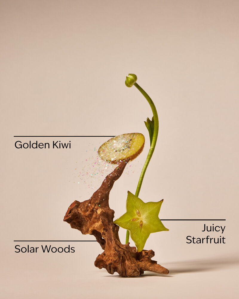 Sweet Kiwi & Starfruit Single Wick Candle Single Wick Candle