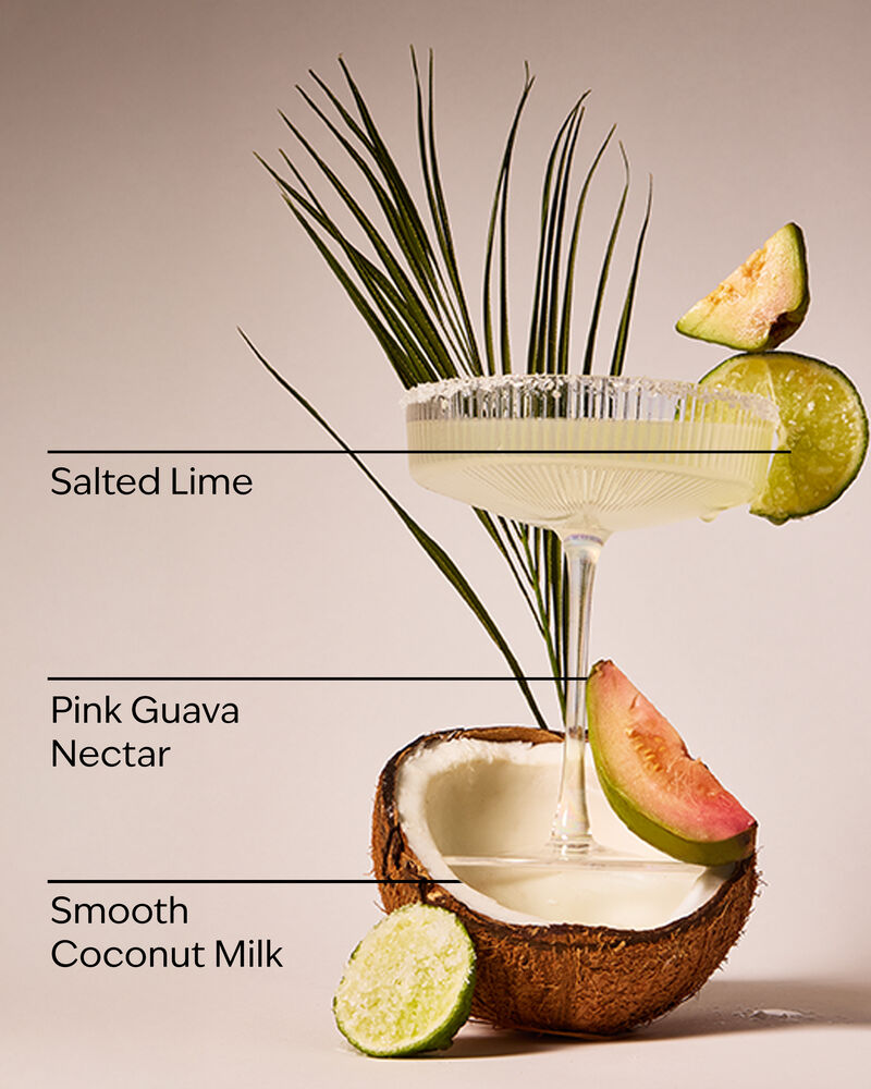 Guava Coconut Margarita Wallflowers Fragrance Refill รีฟิลวอลล์ฟลาวเวอร์