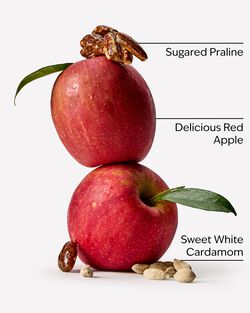 Apple Cinnamon Spice Concentrated Room Spray image number null