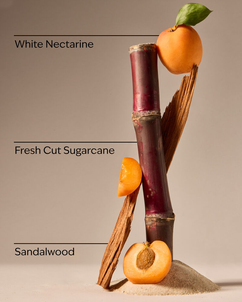 Fiji White Sands 3-Wick Candle เทียนหอม 3 ไส้