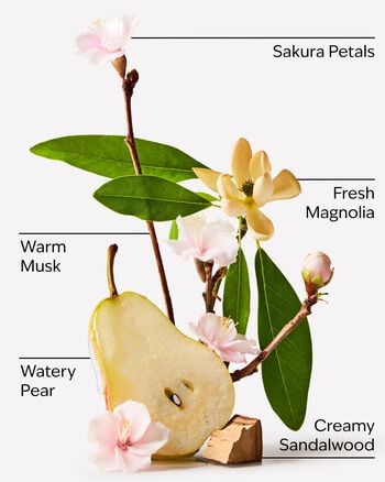 Forever Cherry Blossom Concentrated Room Spray สเปรย์ปรับอากาศห้อง